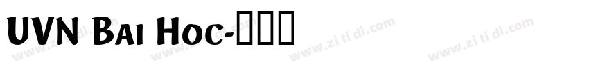 UVN Bai Hoc字体转换